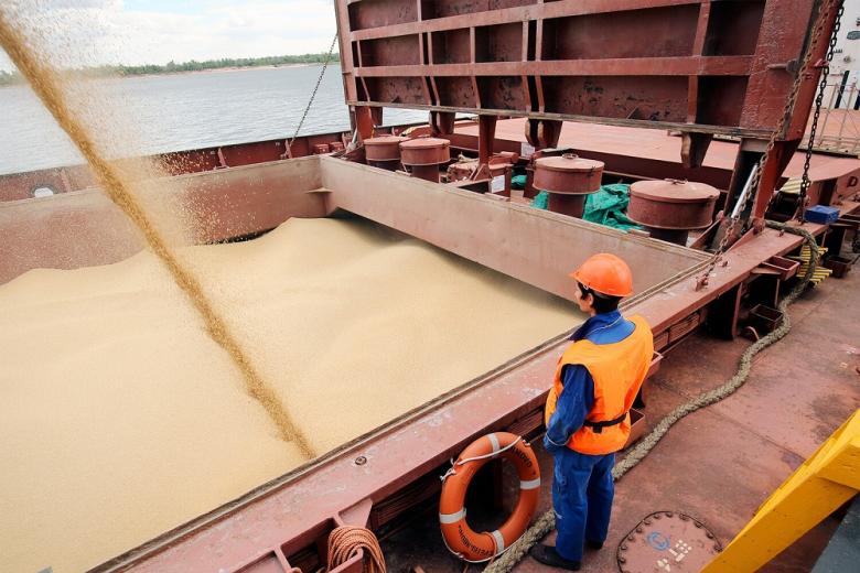 Экспортные цены на зерно в России в конце мая продолжили расти – обзор